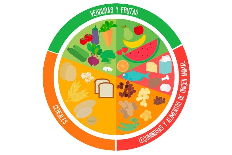 El Plato Del Bien Comer Nte Mx Recursos Educativos En L Nea