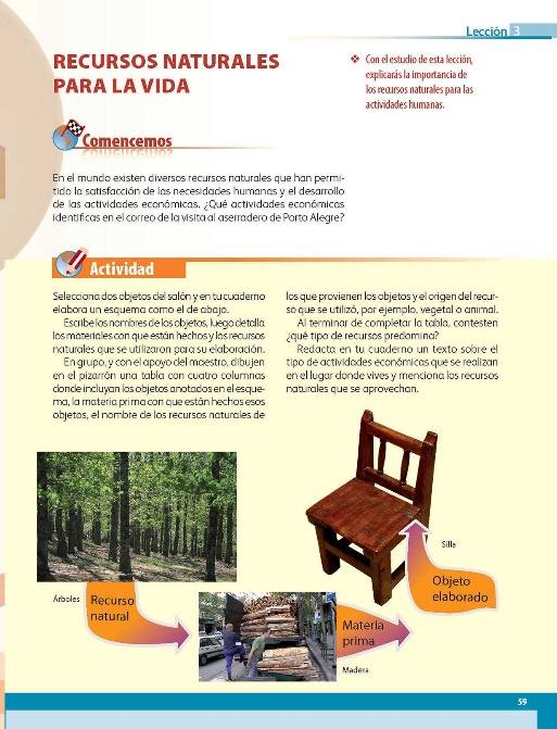 De un árbol a un lápiz - Geografía Sexto de Primaria - NTE.mx recursos  educativos en línea